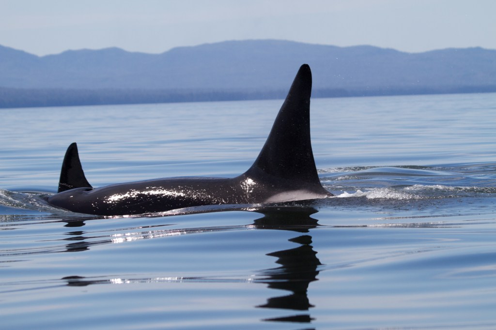 This image has an empty alt attribute; its file name is dlw_2016jul08_0145.jpeg