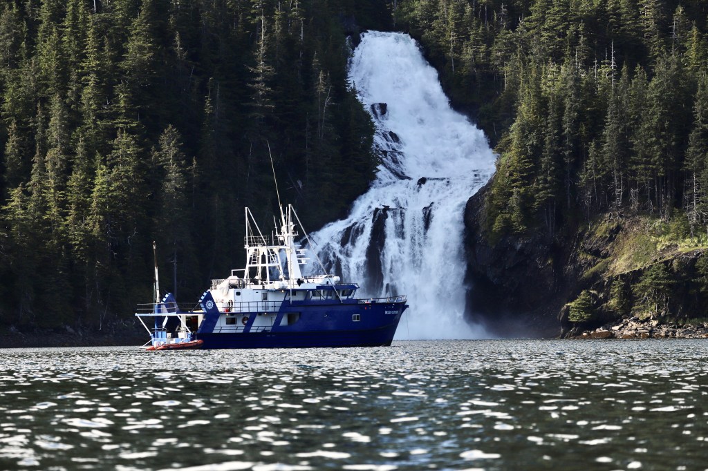 This image has an empty alt attribute; its file name is img_6664.jpg