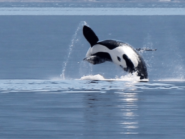 Finally back on the&nbsp;water!