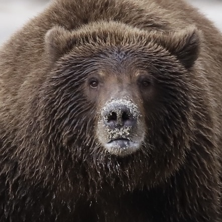 This image has an empty alt attribute; its file name is unadjustednonraw_thumb_2017.jpg